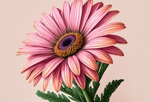 Pretty Pink African Daisy Blossom In Close-up Vertical Image. Generative AI