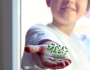 Wall Mural - Happy child holding a Petri dish with some seeds of germinated plants. Concept of sustainability, science education, and ecology. Selective focus.