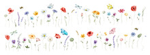 Watercolor Floral Illustration Set – Wildflowers: Summer Flower, Blossom, Poppies, Chamomile, Dandelions, Cornflowers, Lavender, Violet, Bluebell, Clover, Buttercup, Butterfly.