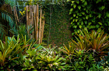 Wall Mural - Luxury landscape design of the tropical garden