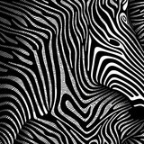 Fototapeta Konie - Zebra Pattern Background