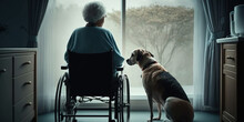 An Elderly Woman In The Company Of His Dog, The Friendship Of People And Animals. Generative AI