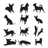 Fototapeta Koty - Set Chihuahua silhouette vector illustration.