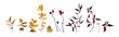 Autumn eucalyptus, tree leaves element set. Orange yellow, red leaf branches, rose seeds watercolor vector art illustration isolated white background. Fall wedding invite designer botanical decoration