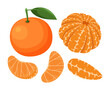 Fruit mandarin isolated on white background