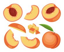 Fruit Peach Isolated On White Background