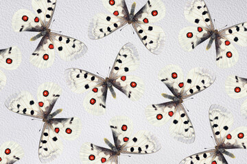 Aufkleber - bright apollo butterflies on white watercolor paper. abstract pattern of colorful tropical butterflies