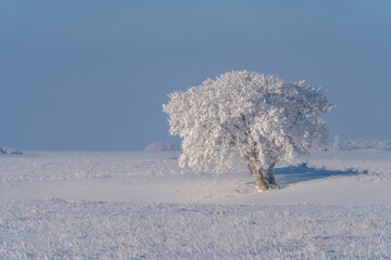 Sticker - Prairie Winter Scenes