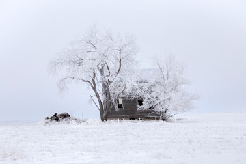 Sticker - Prairie Winter Scenes