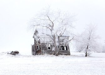 Sticker - Prairie Winter Scenes