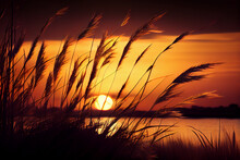 Sunset In A Marsh, The Sun Peering Through The Grass