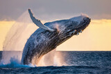 A whale breaching water. 