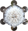Sacred Geometry in Nature - Dandelion, Metatron's Cube