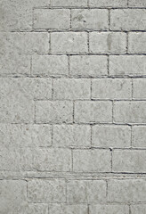 Wall Mural - Light gray concrete pavement with patterns reminiscent of old stone with brickwork. Covering the pavement (floor) with a cement decorative screed.