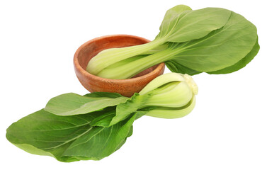 Sticker - Organic Bok Choy