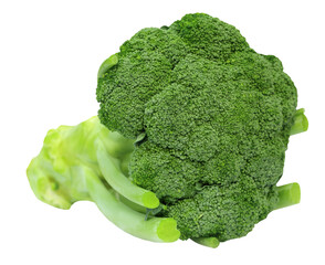 Poster - Fresh Broccoli