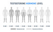 Testosterone level therapy hormone male fertility science illustration low level testosterone hormone level