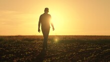 Farmer Works In Rubber Boots, Field With Young Green Sprouts. Businessman Grows Food. Worker Walks In Rubber Boots At Sunset. Agricultural Business. Grow Grain, Vegetables. Field, Young Green Shoots