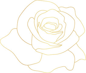 Wall Mural - Rose flower gold line art