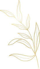 Wall Mural - Wedding leaf branch gold line art