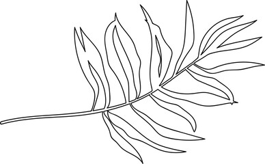 Tropical leaf line art