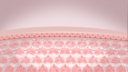 Wall Mural - 3d rendering layer of skin structure microstructure. skin cell sagging is reduced by serum through t
