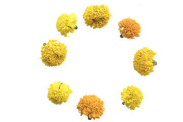 Wall Mural - yellow flowers marigold local flora of asia arrangement flat lay circle postcard style 