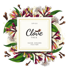 Clove Tree Advertising Banner With Copy Space For Text, Sketch Vector Illustration On White Background.