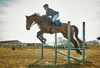 Canvas Print - Training, jump and woman on a horse for sports, an event or show on a field in Norway. Equestrian, action and girl doing a horseback riding course during a jockey race, hobby or sport in nature