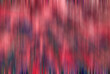 abstract colorful background of vertical lines, red, yellow, black, different colors