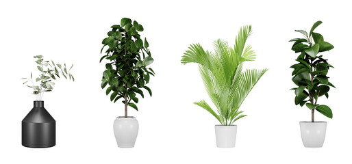 Wall Mural - Set of plant in a pot isolated on white background, 3d render illustration.