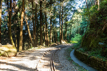 Wall Mural - The old forest railway section of the Shuishan Trail at Alishan Forest Recreation Area in Chiayi, Taiwan. Now obsolete and unable to operate.