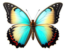 Very Beautiful Light Blue Yellow Butterfly With Spread Wings Isolated On A Transparent Background.