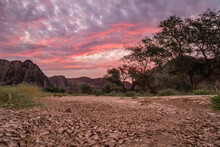 Cracked Soil Inâ€ Namib Desert,â€ Namibia