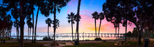 Coronado Bridge Behind Silhouettes Of Palm Trees At Dawn, San Diego, California, USA
