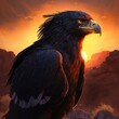 Black eagle forward the sun