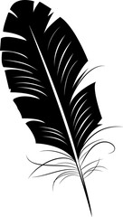 Poster - Fourth Silhouette Feather