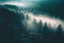 Fog In Forest Aerial View. Generative AI