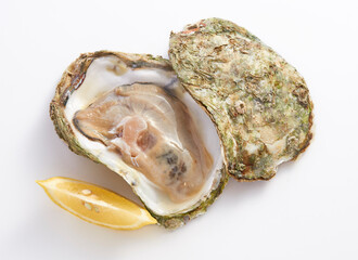 Poster - fresh opened oyster with lemon slice on white background