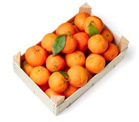 Wall Mural - Orange tangerines with green leaves in box. Top view. Isolated on white background