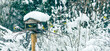 Gruppe von  Vogel  am schneebedeckten Futterhaus, starker Schneefall