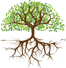Tree Png Graphic Clipart Design