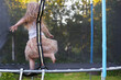 © stopabox - Little child girl jumping on the trampoline in the back yard