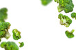 © olgaarkhipenko - Summer vegetable background. Flying fresh raw green broccoli isolated on white background. Creative food concept. With clipping path. Healthy diet vegan cut out organic food, mockup