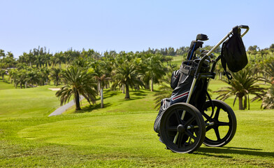 Golf cart with bag and golf clubs in the fairway of a golf course, parked at the edge of the green.