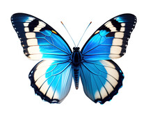 Very Beautiful Blue White Butterfly With Spread Wings Isolated On A Transparent Background.