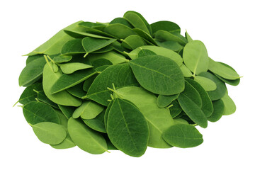 Poster - Moringa leaves