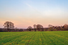 Field With Trees And Pink Sky Just After Sunset. English Countryside Scene With Church Near West Wickham, Kent, UK.