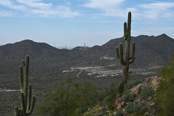 The wind cave trail located in the Usery Mountain Regional park near Mesa Arizona is a quintessential desert hiking trail.
