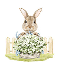 Watercolor Vintage Easter Bunny Rabbit Holding Bouquet Flowers Lilies Of The Valley In Wicker Basket Next To Fence Isolated On White Background. Watercolor Hand Drawn Illustration Sketch